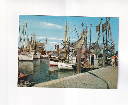 8064 postcard sylt - -, youth