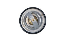 THERMOSTAT, COOLANT 725186