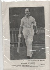 YORKSHIRE CCC Herbert