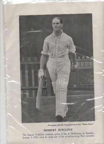 Yorkshire ccc herbert - yorkshire,