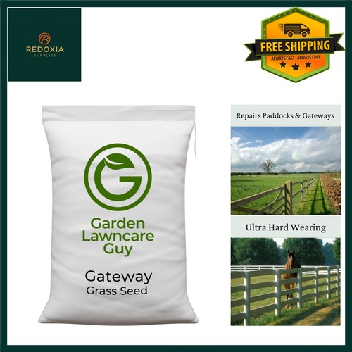 Horse paddock grass seeds - grass,