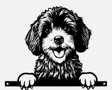 Cockapoo labradoodle fence - cockapoo,