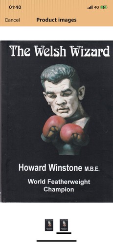 The welsh wizard - the,