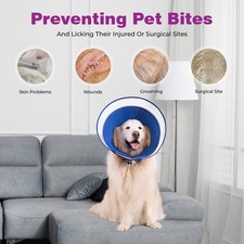 Soft Dog Cone - Cones after