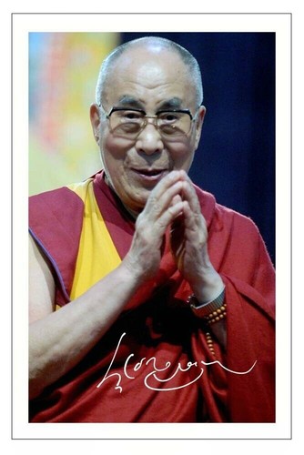 Dalai lama signed autograph - dalai,