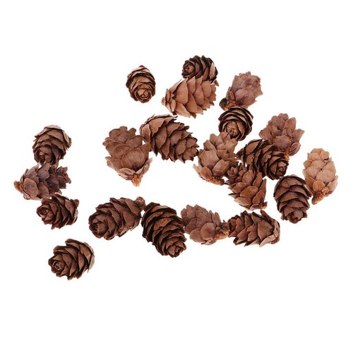 50x mini real natural - 50x, pine