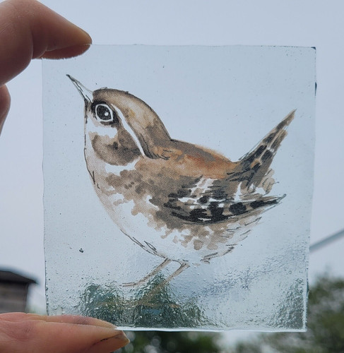 Stained glass wren bird nature - wren,
