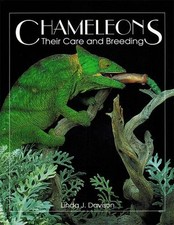 Chameleons - 9780888393531