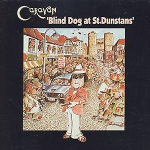 Caravan blind dog - dog, at