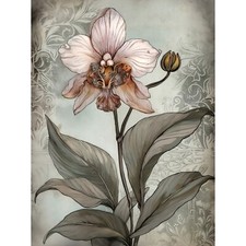 Art Nouveau Pink Orchid Bloom