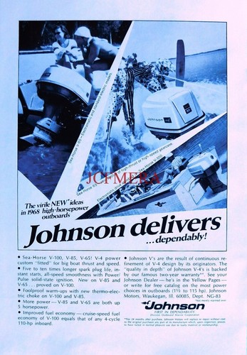 Johnson sea horse - johnson, 'sea-horse'