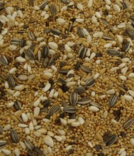 Lovebird and Parakeet Food Feed Seeds uk sourced  1.8kg