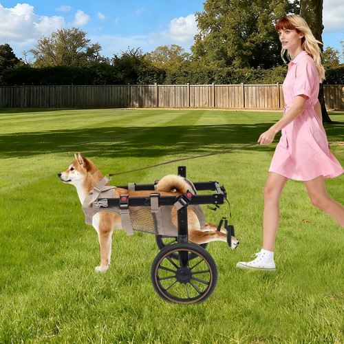 Pet mobility aid - pet,
