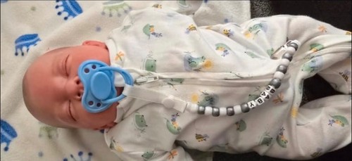 Reborn baby dolls pre owned - reborn,