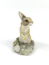 Border Fine Arts Bright Eyes