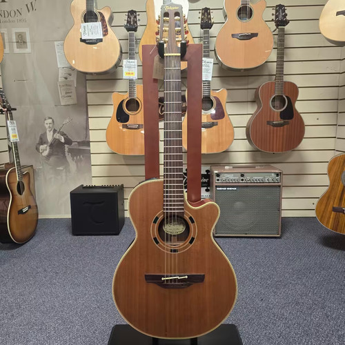 Takamine japanese - en-30,
