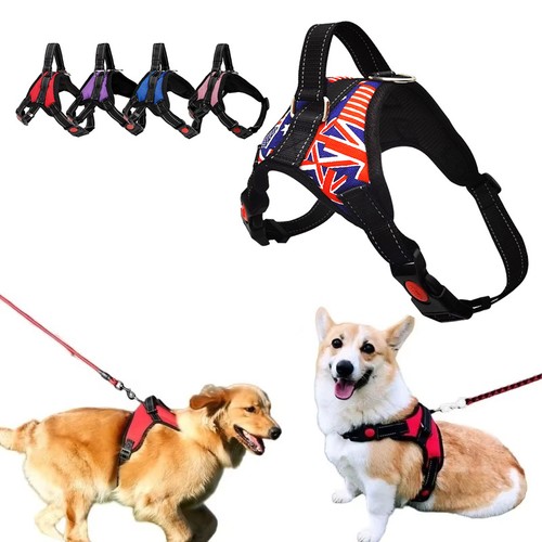 Pull dog harness - dog, adjustable