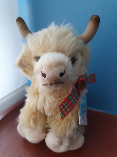 Poppy the highland calf - poppy,