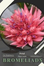 Bromeliads prodigy petal - prodigy,