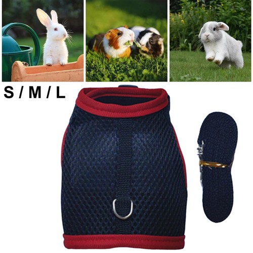 Harness leash mesh - harness, vest