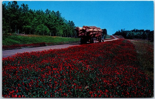 Vintage postcard crimson - postcard,