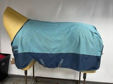 Used 5'6 Amigo 100g Turnout