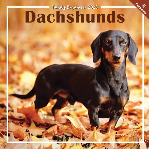 Dachshunds family organiser - family,