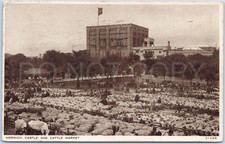 Antique Postcard Norwich