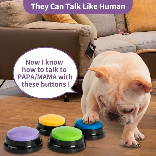 Dog training pet speaking - dog,