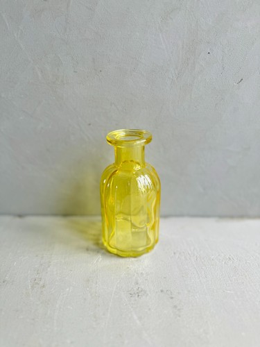 Sweet mini vase propagation - sweet,