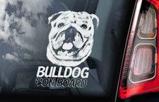 Bulldog board car - board,,