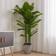 190cm(6ft) Artificial Palm