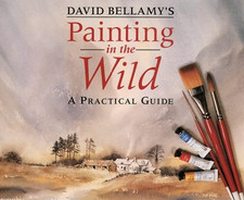 David Bellamy's Painting in