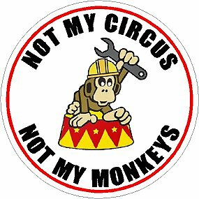 Not circus - my, my