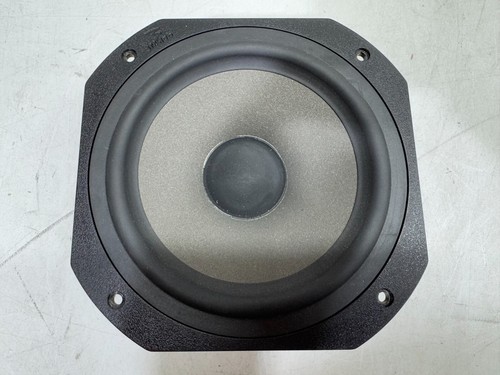 Focal lab chorus - jm,