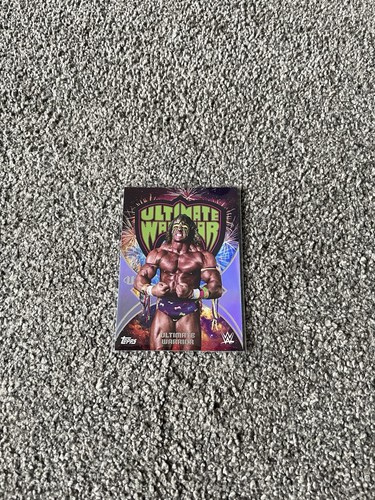 2025 topps universe wwe - wwe,
