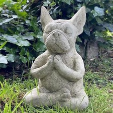 Yoga Pose Meditation Dog