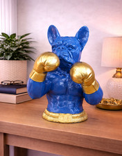 Blue French Bulldog Boxer