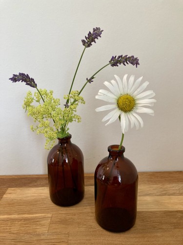 Small brown aphothecary - 2x,