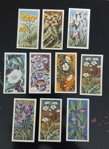 Brooke bond wild flowers - brooke,