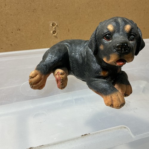 Rottweiler puppy laying down - rottweiler,