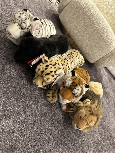 Set new exotic cats - 5,