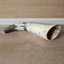 Vintage Taxidermy Cow Horn