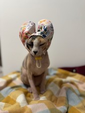 Sphynx Cat  Water resistant Bath Cap Ear protection safari animals bath bonnet