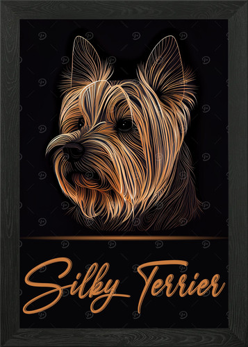 Silky terrier portrait framed - silky,
