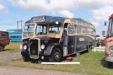 453m  6x4" Coach Photo -  Royal Blue Coaches.  Fleet no. 1266,  reg. no. LTA895.