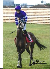 Jack Callan signed photo - Jockey 12x8