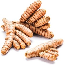 Fresh Organic Turmeric Root