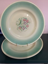 VINTAGE SUSIE  COOPER PLATES. X 2 DRESDEN SPRAY VGC