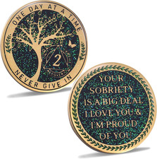 24 Hours, 1/2 Yearsobriety Chip, Tree of Life Recovery Coin, AA Recovery Medalli